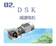 DSK 减速电机